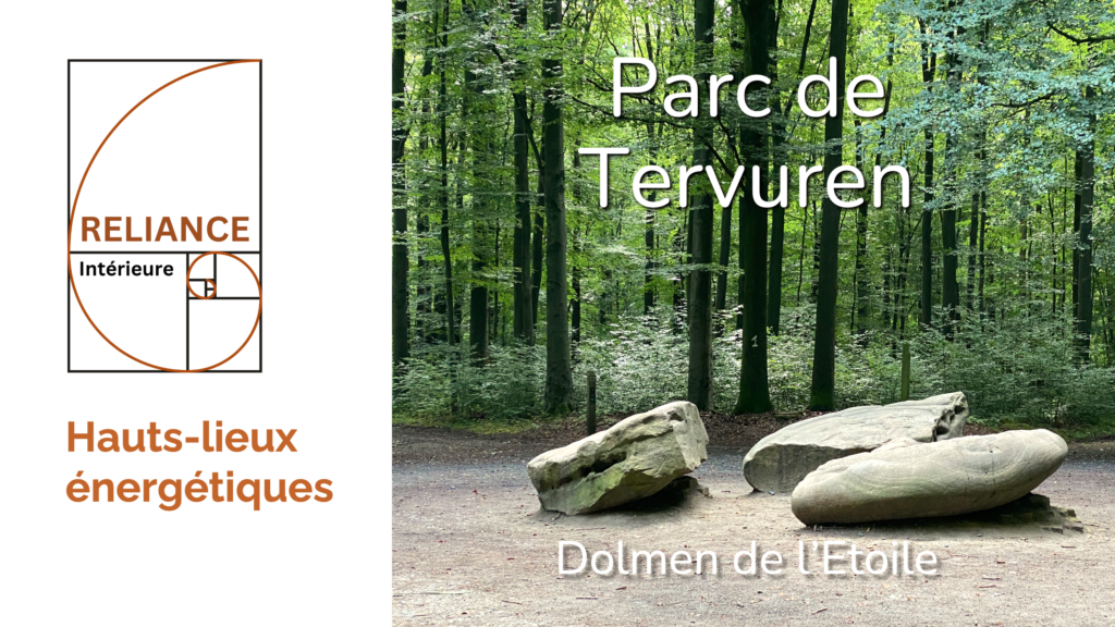 reliance-interieure-etoile-parc-tervuren