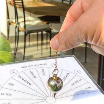 Géobiologie-4 2-picto